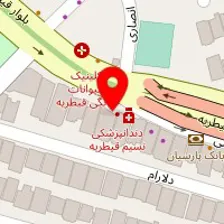 دکتر حمیدرضا معروفی