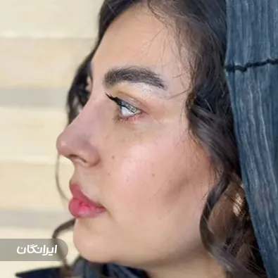 دکتر عباس نوروزی