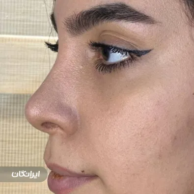 دکتر عباس نوروزی