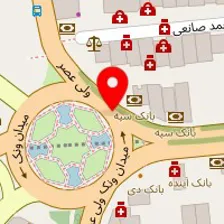 دکتر محمد امین حسنی