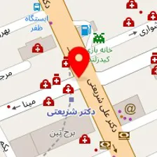 دکتر فرزانه روحانی