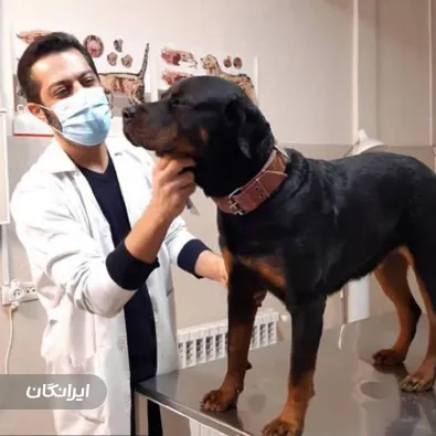 دامپزشکی سپن