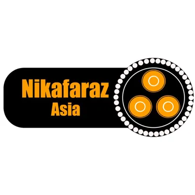 لوگوی شرکت نیکا فراز آسیا