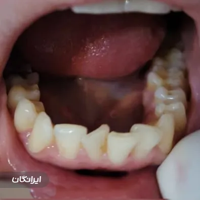 دکتر سید رضا ناصری