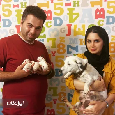 کلینیک دامپزشکی و پت شاپ پاستور