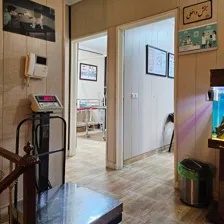 دامپزشکی و پت شاپ نیکان