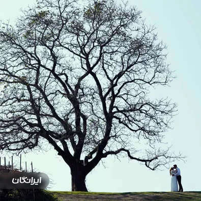 آتلیه عکاسی تارخ