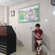 دامپزشکی راد