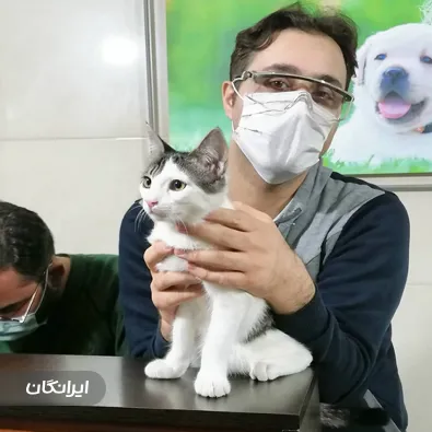 دامپزشکی راد