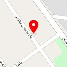 قالیشویی و مبل‌شویی دلپسند