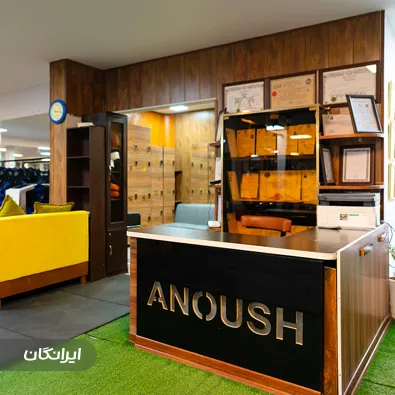 باشگاه ورزشی انوش