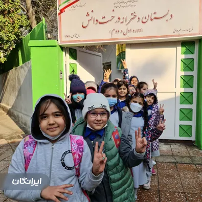 موسسه آموزشی درخت دانش