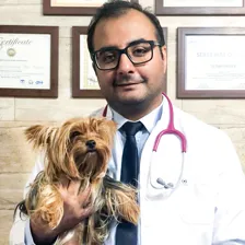 کلینیک دامپزشکی دکتر رزم آرا