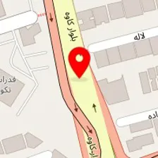 سالن زیبایی قصر الیزا