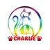 لوگوی پت شاپ چارلی