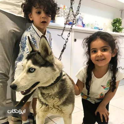 دامپزشکی آینده