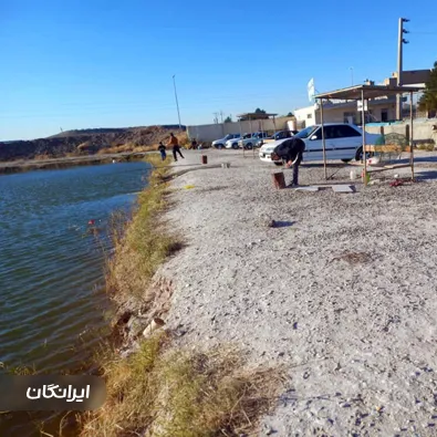 مزرعه برگ سبز