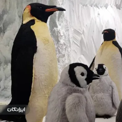 تولیدی محصولات انیماترونیک مبتکران نسل ارتباطات