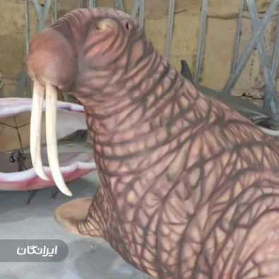 تولیدی محصولات انیماترونیک مبتکران نسل ارتباطات