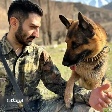 مهدی ملک محمدی مربی آموزش سگ