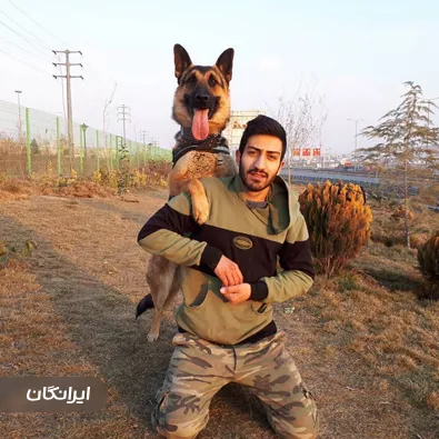 مهدی ملک محمدی مربی آموزش سگ