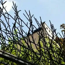 تولیدی حفاظ رجال