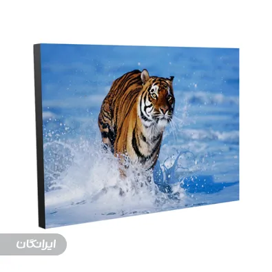 تولیدی تخته شاسی کشور