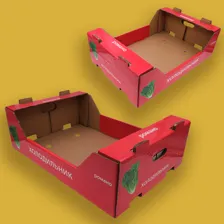 کارتن سازی تاش پک