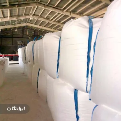 شرکت مثلث جنوب شایا بافت