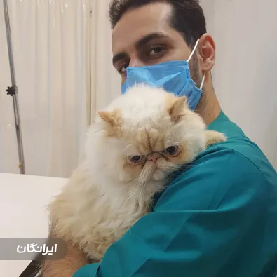 دامپزشکی یونا