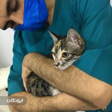 دامپزشکی یونا