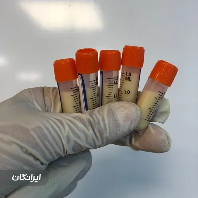 درمانگر زخم لیلا شریعتی