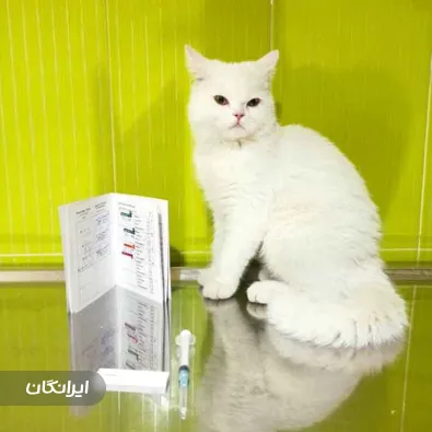 دامپزشکی شهریار