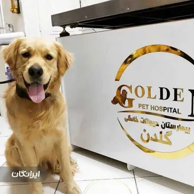 دامپزشکی شهریار