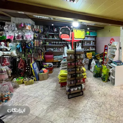 کلینیک دامپزشکی دکتر نوروزی