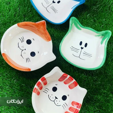 پت شاپ راویس