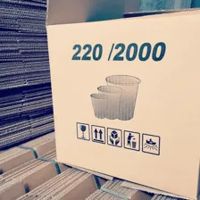 کارتن سازی آداپک