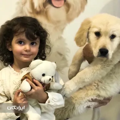 دامپزشکی و پت شاپ سانی مایا