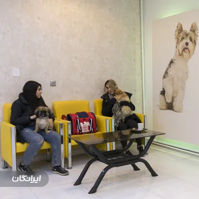 دامپزشکی و پت شاپ سانی مایا