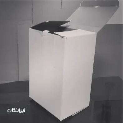 کارتن سازی وکیلی