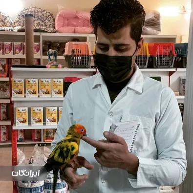 دامپزشکی دکتر پورمعصومی