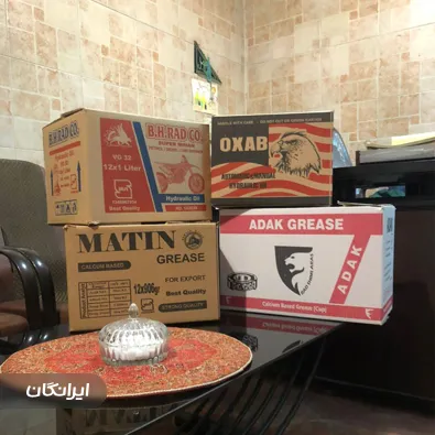 کارتن سازی خاتون