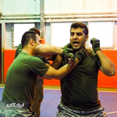 باشگاه ورزش های رزمی دالوند