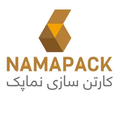 لوگوی کارتن سازی نما پک