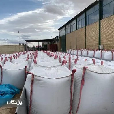 تولیدی جامبوبگ لطف اله زاده