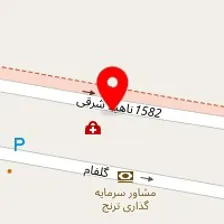 دکتر ایوب پهلوان