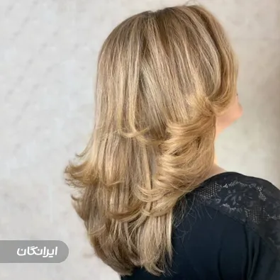 مرکز رنگ و لایت اعظم گرجی