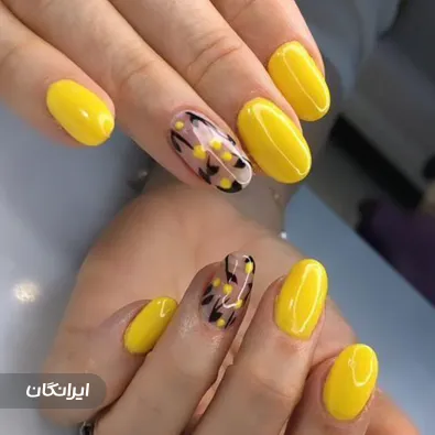 سالن زیبایی زهره پدرام