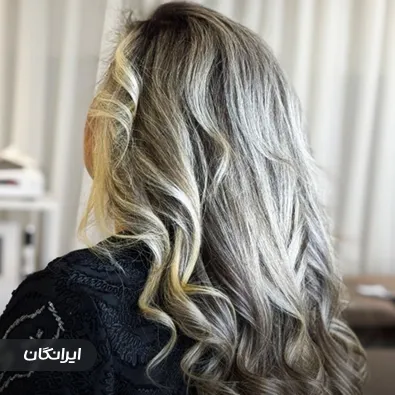 هیرکالریست نیلوفر درویشان