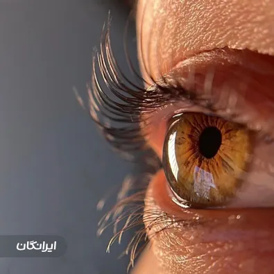 سالن خدمات مژه حدیث